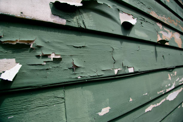 Affordable siding repair and maintenance services in Glendale, CA